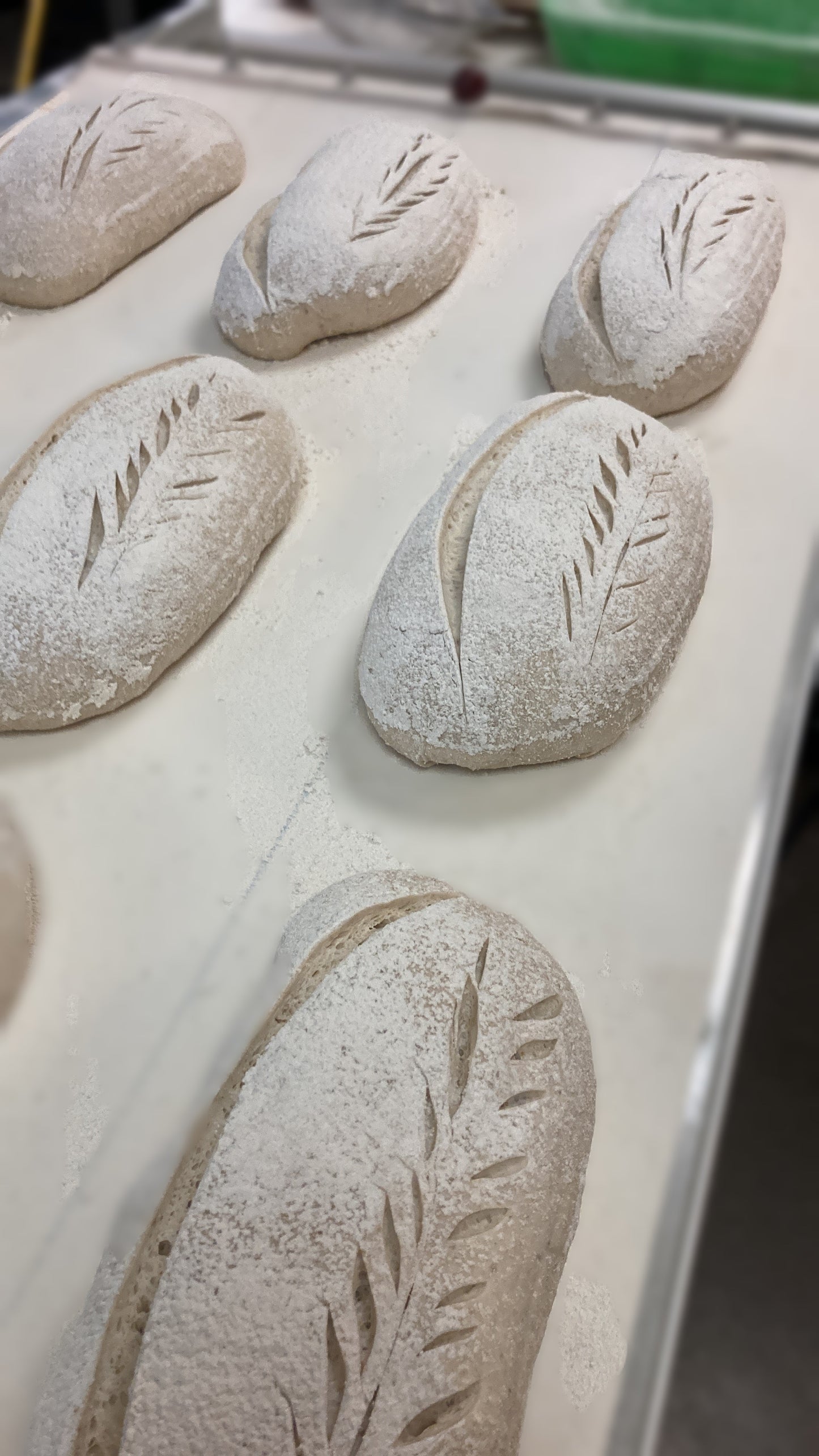 Desem Vloer-brood (Rustiek) - Bakkerij-BO