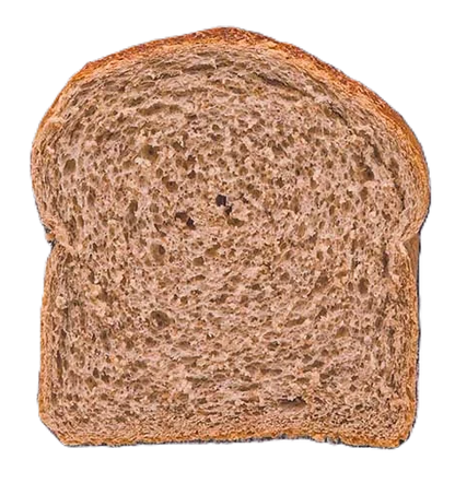 Tarwe Tijger vloer - Bakkerij ter Weme-Bischoff